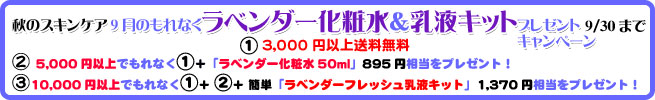 ����ƥ�����9���̵ź�ò��ѿ�ץ쥼��ȥ����ڡ���Хʡ�