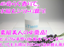 ���경�ѿ� ����ƥ����� ���������� �֥�٥�����סʵͤ��ؤ��ѡ�