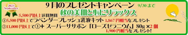 手作り石鹸アンティア9月のアンティアンプレゼントキャンペーン