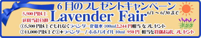 手作り石鹸アンティア6月のアンティアンプレゼントキャンペーン