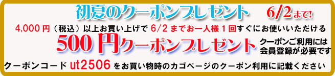 オーガニック化粧品手作り無添加石鹸アンティアン250527クーポンバナー