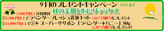 手作り石鹸アンティア9月のアンティアンプレゼントキャンペーン
