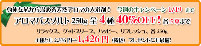 オーガニック化粧品手作り無添加石鹸アンティアン260113キャンペーンバナー