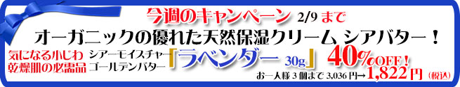 オーガニック化粧品手作り無添加石鹸アンティアン260203キャンペーンバナー