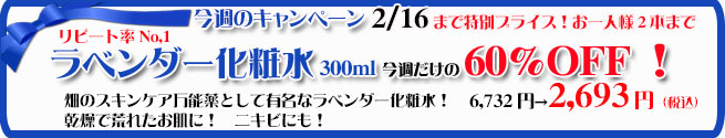 オーガニック化粧品手作り無添加石鹸アンティアン260210キャンペーンバナー