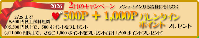 手作り石鹸アンティア2月のアンティアンプレゼントキャンペーン