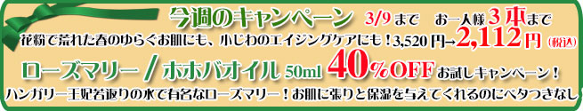 オーガニック化粧品手作り無添加石鹸アンティアン260303キャンペーンバナー