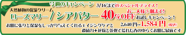 オーガニック化粧品手作り無添加石鹸アンティアン260310キャンペーンバナー