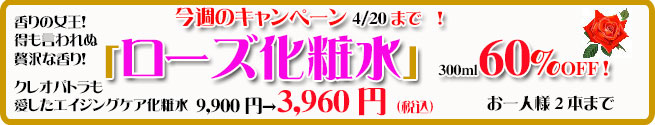 オーガニック化粧品手作り無添加石鹸アンティアン260414キャンペーンバナー