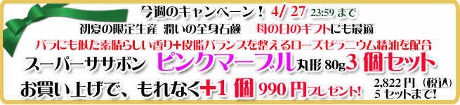 オーガニック化粧品手作り無添加石鹸アンティアン260421キャンペーンバナー