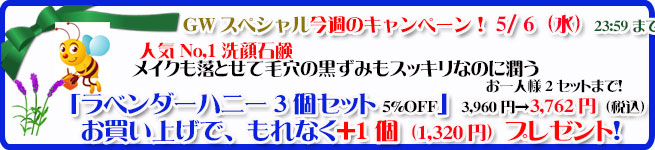 オーガニック化粧品手作り無添加石鹸アンティアン260428キャンペーンバナー