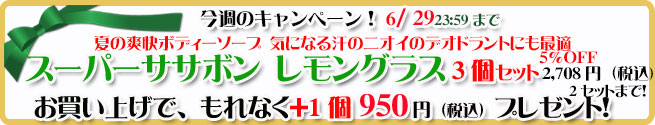 オーガニック化粧品手作り無添加石鹸アンティアン260623キャンペーンバナー