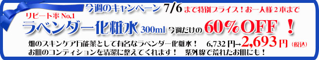 オーガニック化粧品手作り無添加石鹸アンティアン260623キャンペーンバナー