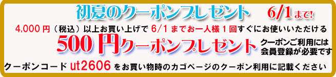 オーガニック化粧品手作り無添加石鹸アンティアン2606初夏の500円クーポンバナー
