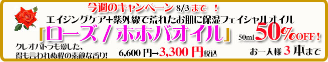 オーガニック化粧品手作り無添加石鹸アンティアン260728キャンペーンバナー