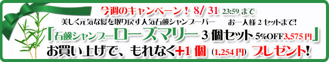 オーガニック化粧品手作り無添加石鹸アンティアン260825キャンペーンバナー