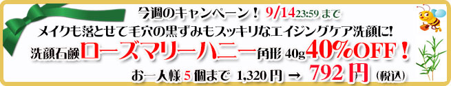 オーガニック化粧品手作り無添加石鹸アンティアン260908キャンペーンバナー