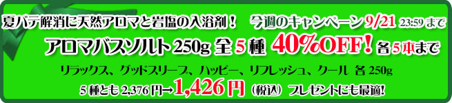 オーガニック化粧品手作り無添加石鹸アンティアン260908キャンペーンバナー