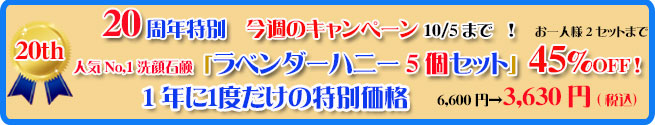 オーガニック化粧品手作り無添加石鹸アンティアン260929キャンペーンバナー