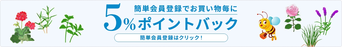 簡単会員登録でお買い物毎に5%ポイントバック