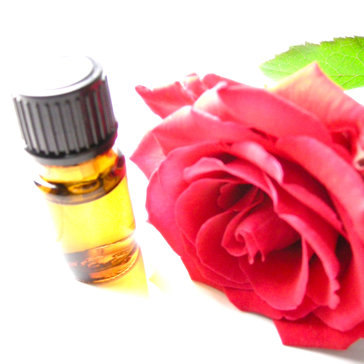 香りの女王ローズ