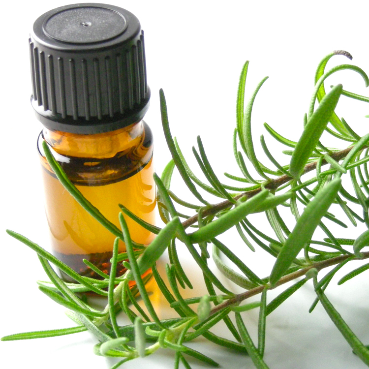 ハンガリー王妃の水ローズマリー