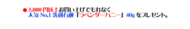 アンティアン4周年記念キャンペーンcopy2