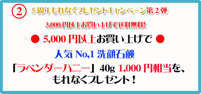 手作り洗顔石鹸アンティアン5周年記念2011年9月のプレゼントキャンペーンバナー2