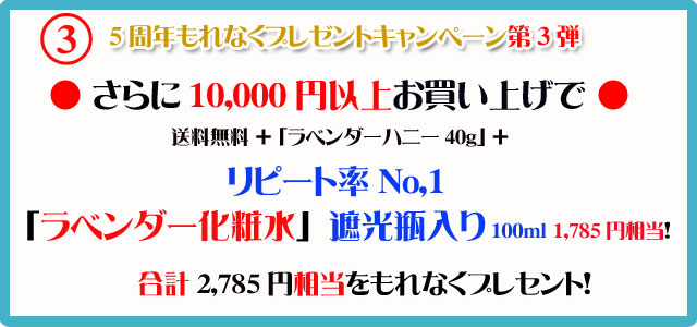 手作り洗顔石鹸アンティアン5周年記念2011年9月のプレゼントキャンペーンバナー3