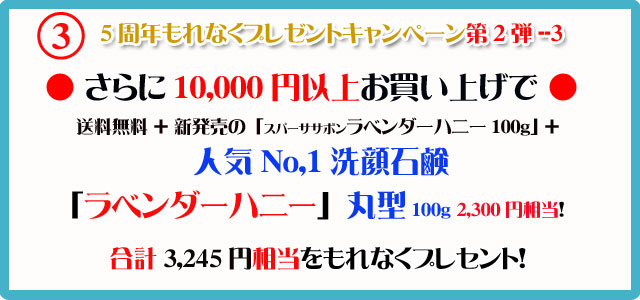 アンティアン5周年記念第2弾3buy,get1freeキャンペーン3