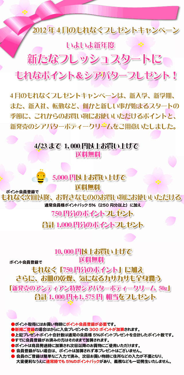 アンティアン手作り石鹸1204プレゼントキャンペーン