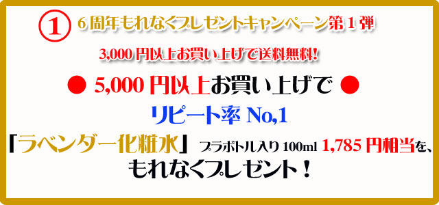 手作り石鹸アンティアンの1210のキャンペーン1top