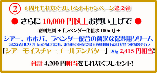 手作り石鹸アンティアンの1210のキャンペーン2top