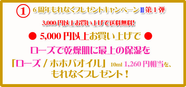 手作り石鹸アンティアンの1211のキャンペーン1top