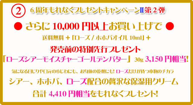 手作り石鹸アンティアンの1211のキャンペーン2top