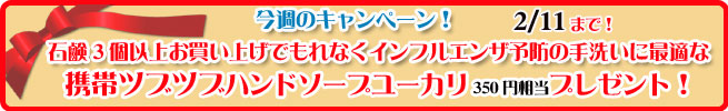 手作り石鹸アンティアン130204キャンペーンバナー