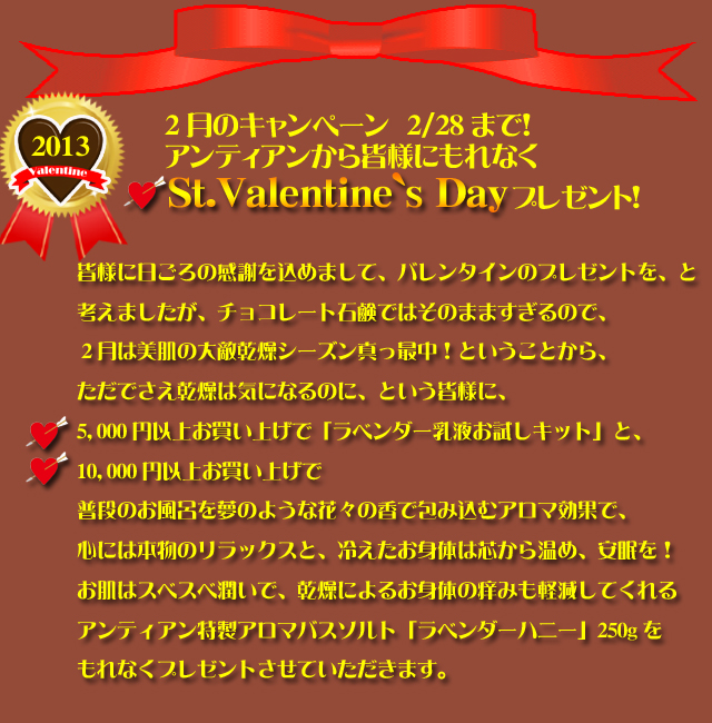 手作り石鹸アンティアンの1302のキャンペーンtop