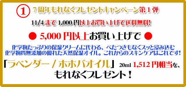 手作り石鹸アンティアンの1310のキャンペーンtop1