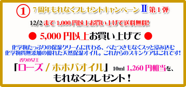 手作り石鹸アンティアンの1311のキャンペーンtop1送料無料