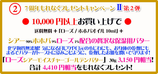 手作り石鹸アンティアンの1311のキャンペーンtop2