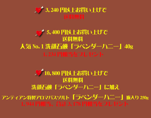 手作り石鹸アンティアンの1502のキャンペーンcopy