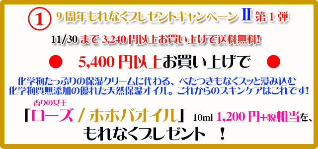 手作り石鹸アンティアン1511キャンペーン1