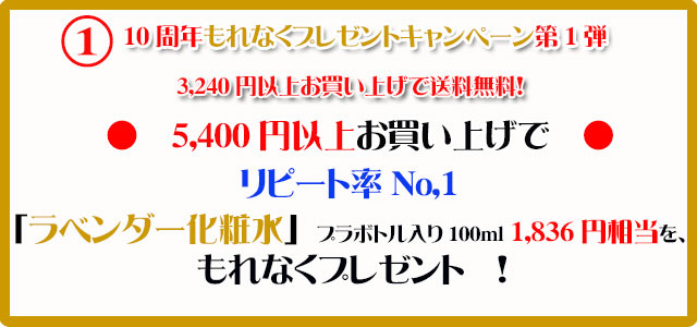 手作り石鹸アンティアン1610キャンペーン1