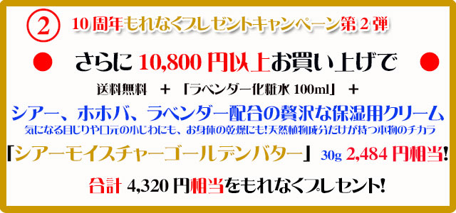 手作り石鹸アンティアン1610キャンペーン2