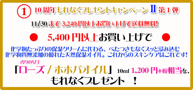 手作り石鹸アンティアン1611キャンペーン1