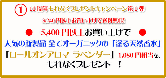 手作り石鹸アンティアン1710今月のキャンペーンcopy1