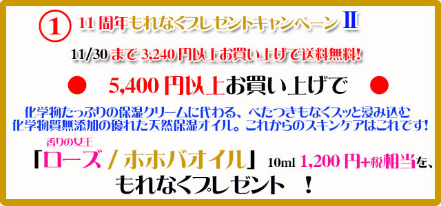 手作り石鹸アンティアン1711キャンペーン1