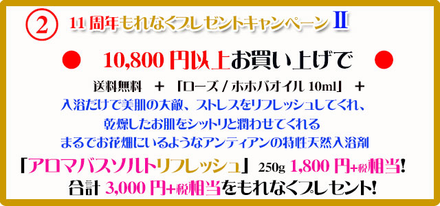 手作り石鹸アンティアン1711キャンペーン2