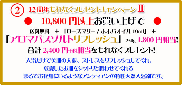 手作り石鹸アンティアン1811キャンペーン2