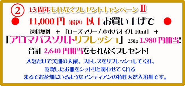 手作り石鹸アンティアン1911キャンペーン2